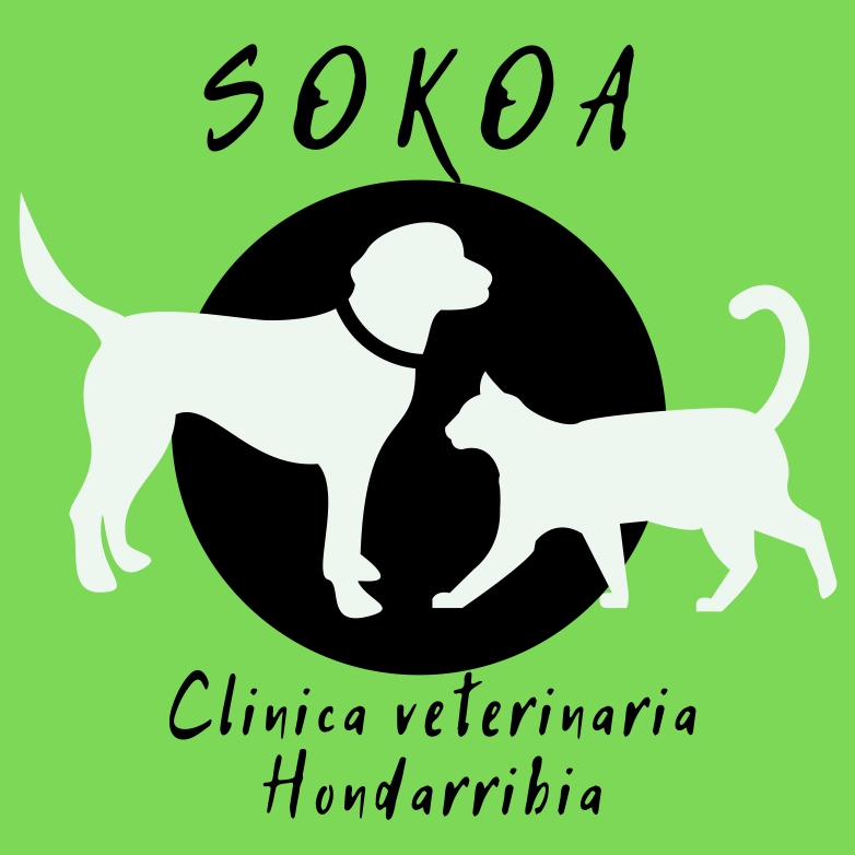 Clínica Veterinaria Sokoa