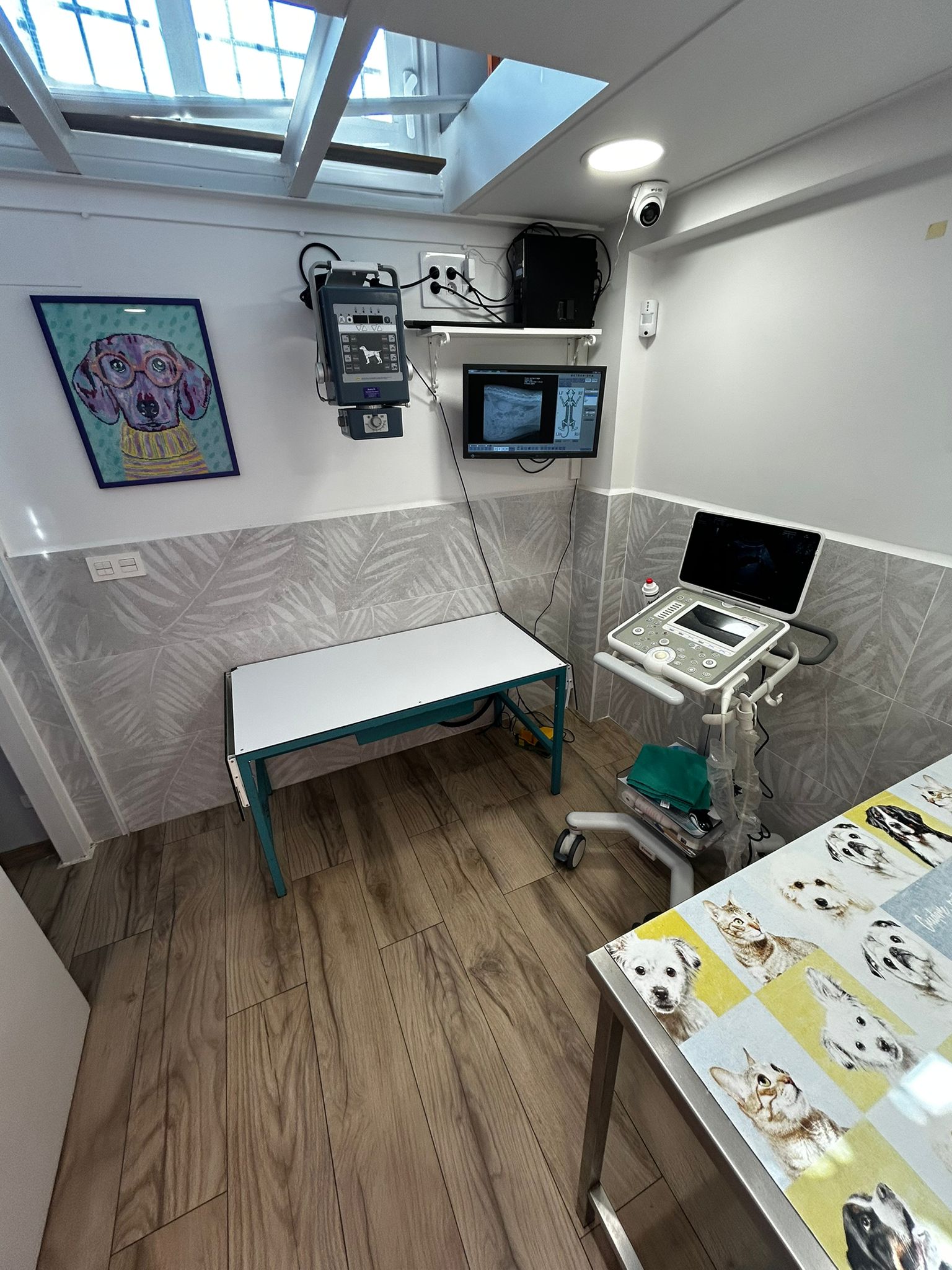 Mia y su diagnóstico de enfermedad renal crónica